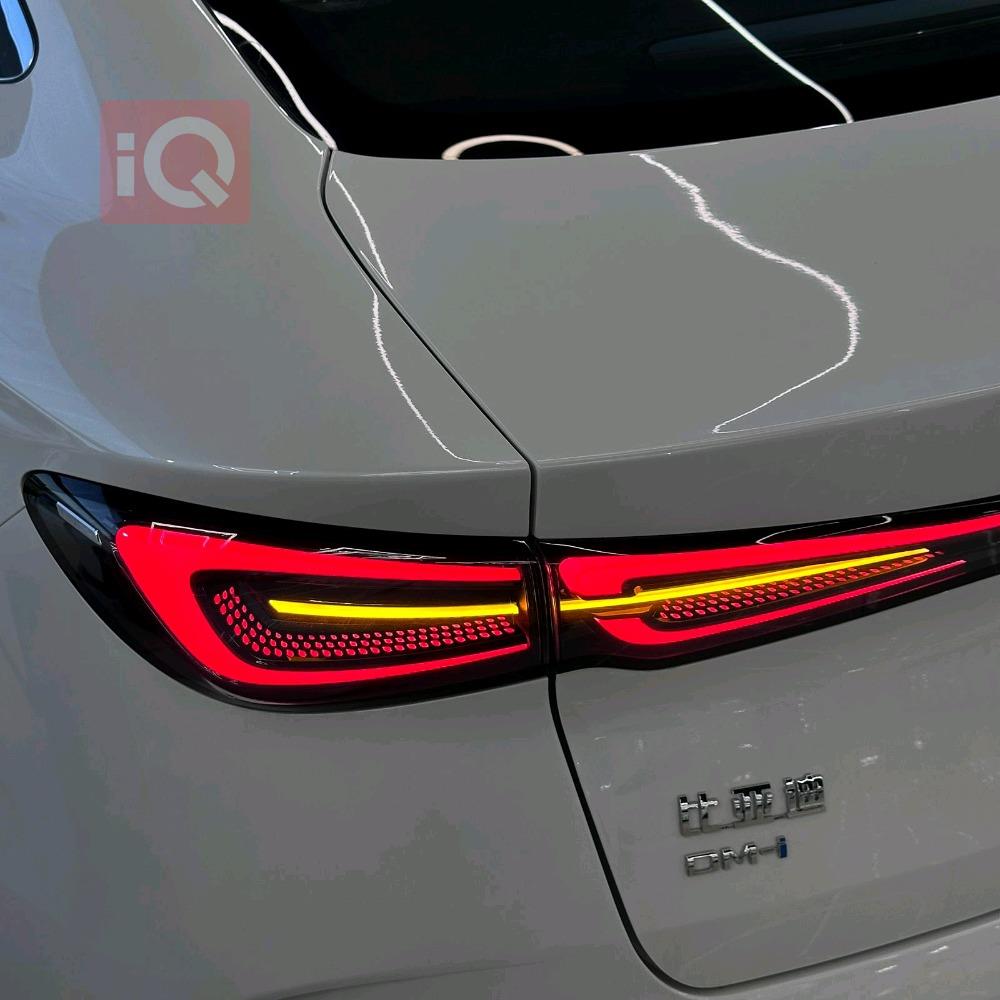 بي واي دي سيل 06 DM-i